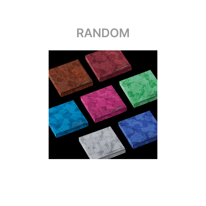 ENHYPEN - THE SIN: VANISH (FUGITIVE VER. RANDOM) [PRE ORDEN]