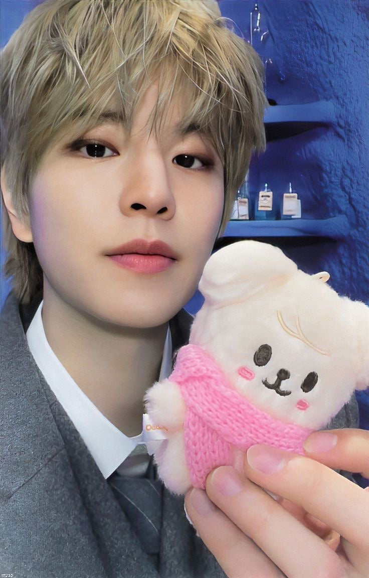 STRAY KIDS SEUNGMIN - MAGIC SCHOOL POB